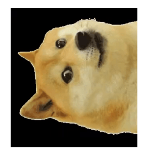 Random 16