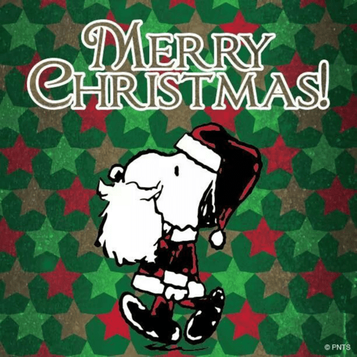 Merry Christmas 12