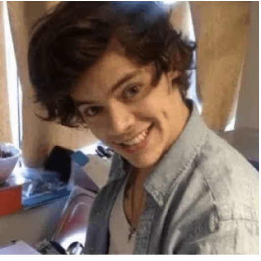 Harry Styles ranita 🐸 24