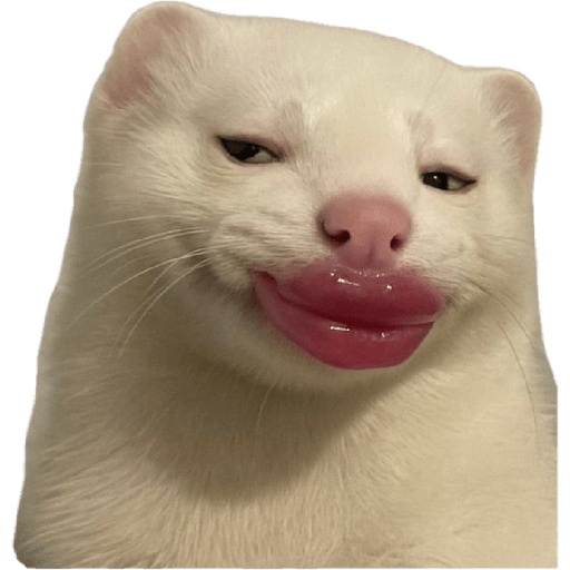 MEMES RANDOM PARTE 76 5