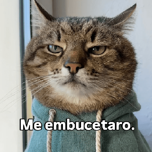 Variados 19