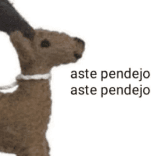 MEMES RANDOM PARTE 65 13