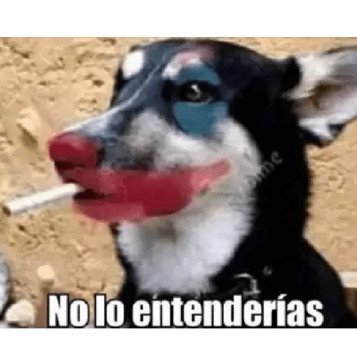 MEMES RANDOM PARTE 76 8