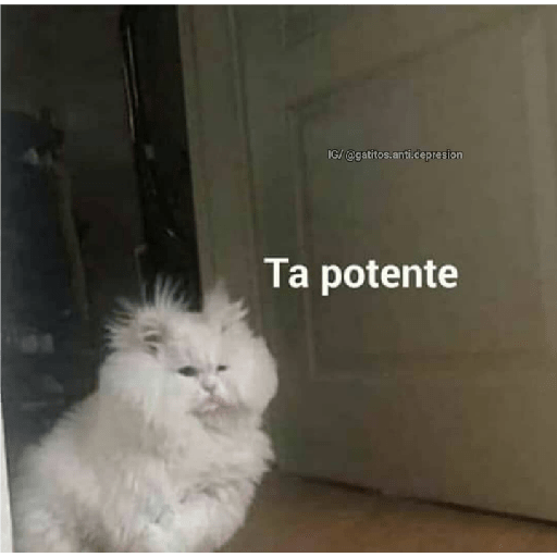 Gatitos 18