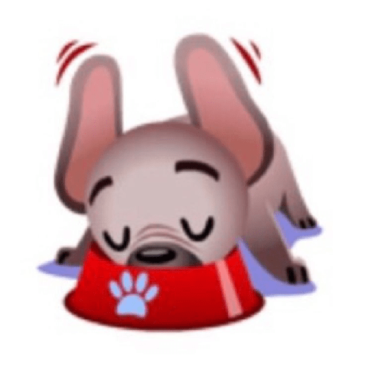 ／ Mugsy ᰊ   ׅ     ˙   11
