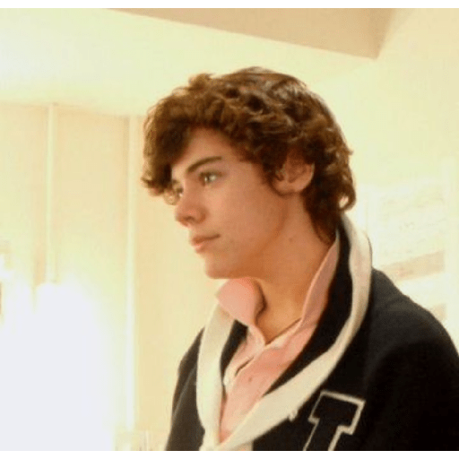 Harry Styles ranita 🐸 22