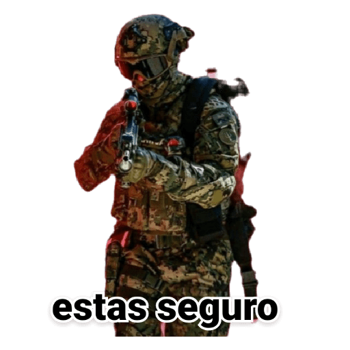 Militares 17