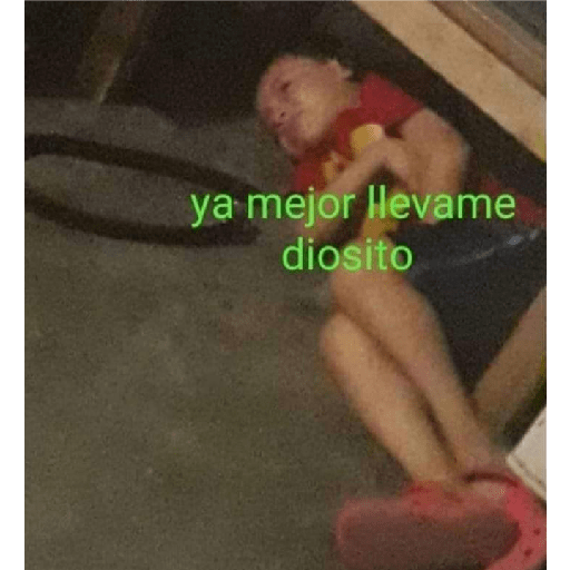 Michis 9