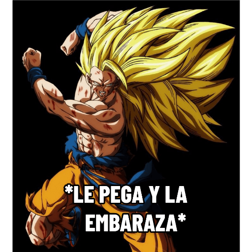 Dragon ball 28