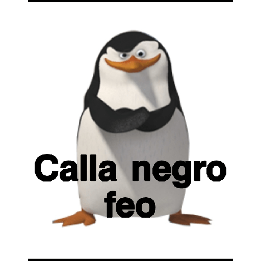 Memes para insultar 11