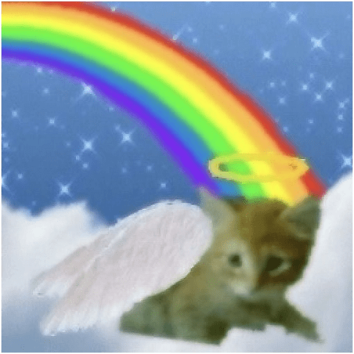Cats 2 28
