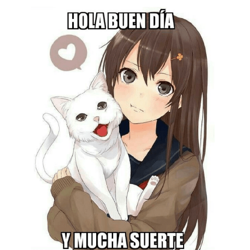 Lindo dia 1