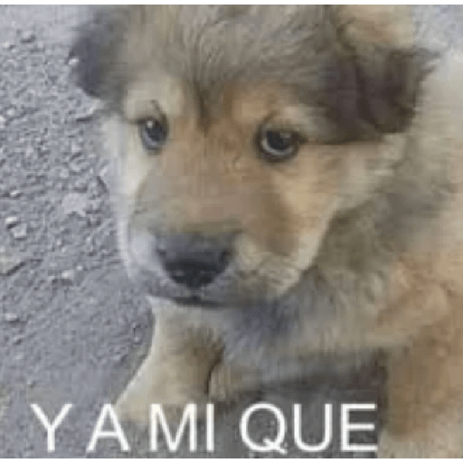 MEMES RANDOM PARTE 76 1