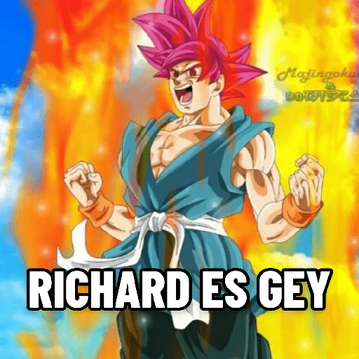 Dragon ball 30