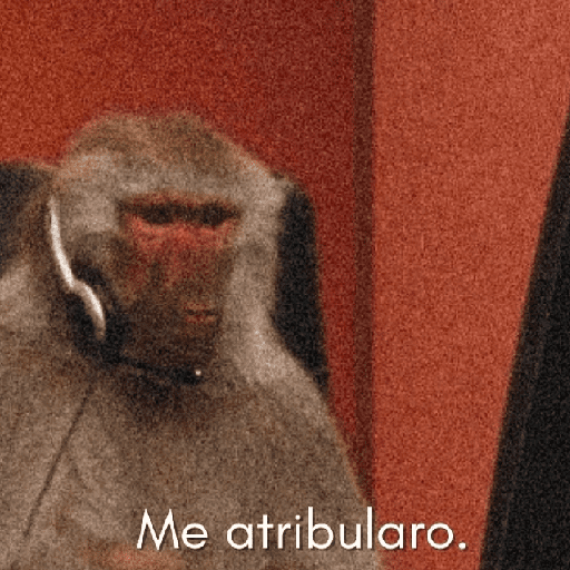 Variados 13