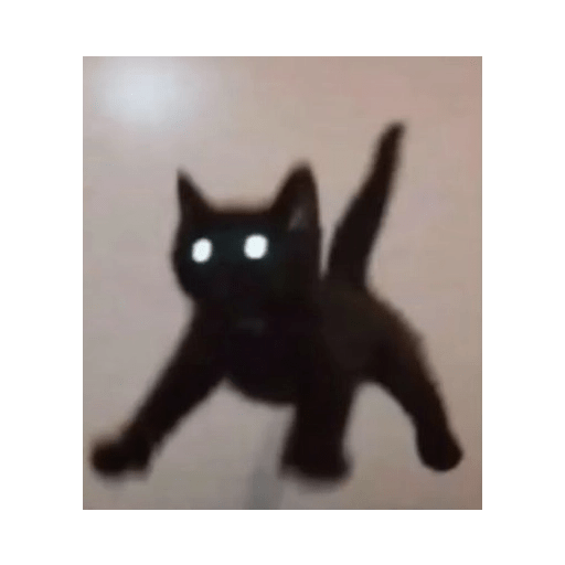 Cats 2 21