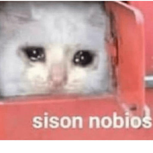 Manzana 5