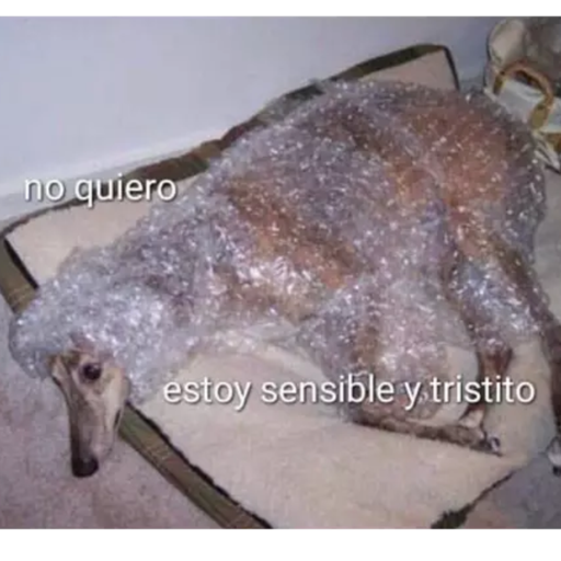 ANIMAIS 25