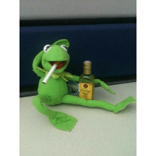 Kermit o Sapo 19