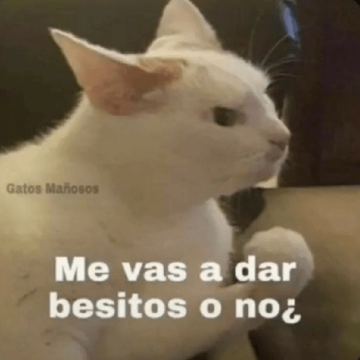 Manzana 11