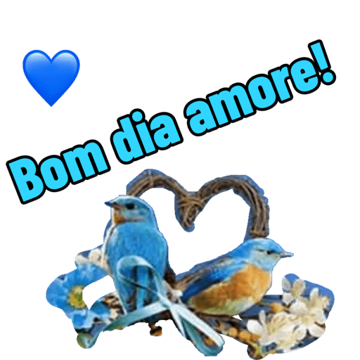 Otavio 97 14