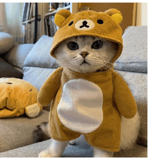 Little brown bear
