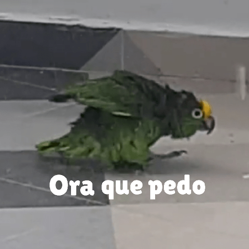 Uwu 16