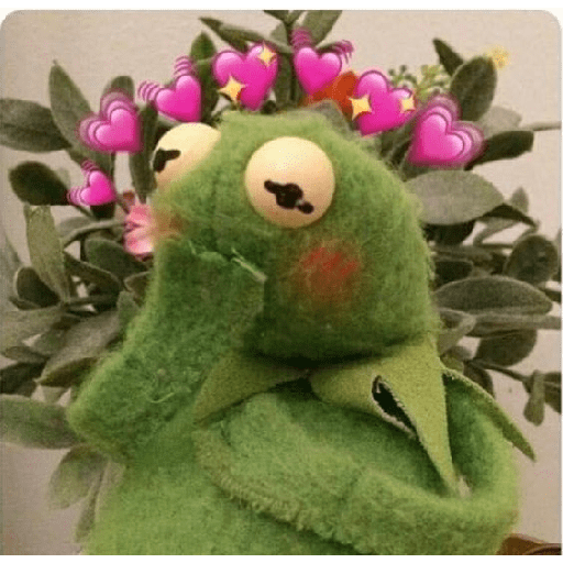 Kermit o Sapo 16