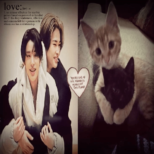 K-pop Sofi&osk 13