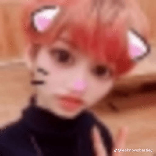Stray kids 1 :3 26