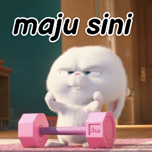 Kelinci lucu 22
