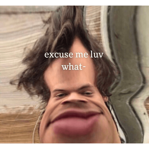 Meme (2) 2