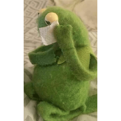 Kermit o Sapo 12