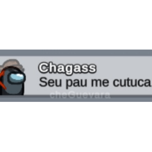 Bear que fez 13