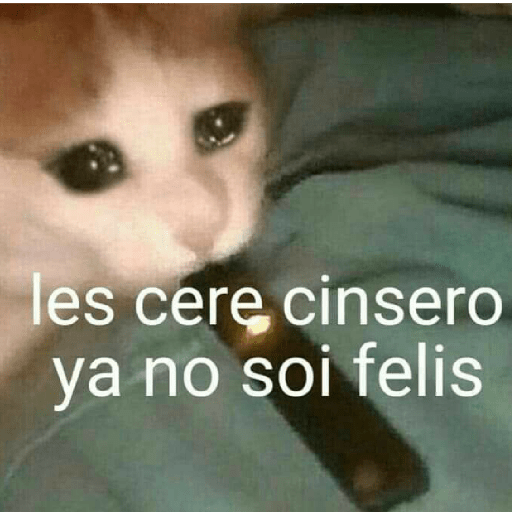 Manzana 7