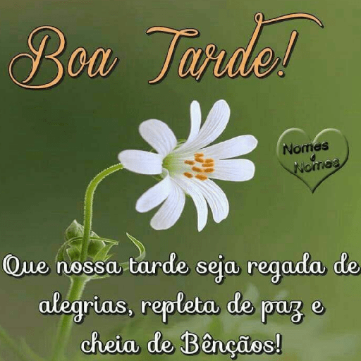 Olá 11