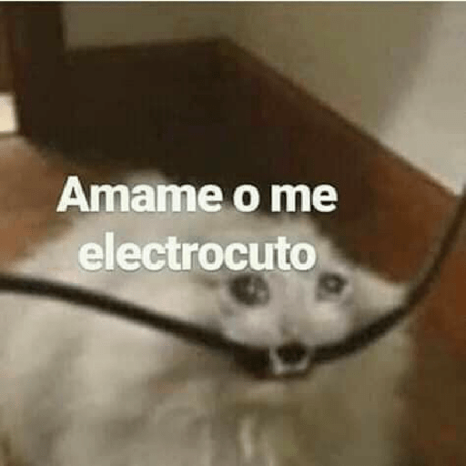 Manzana 12