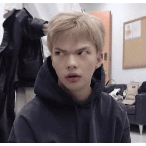 Stray kids 1 :3 10