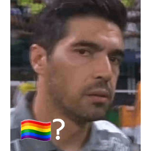 Sou petista 11