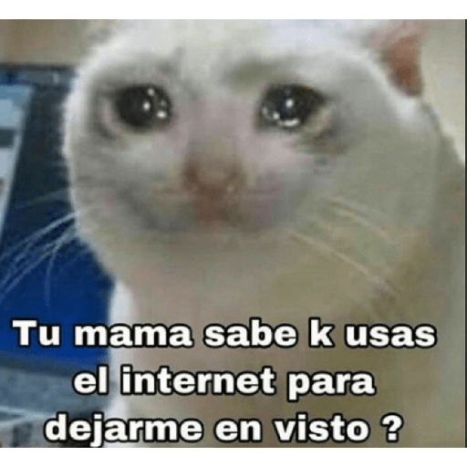 Manzana 8