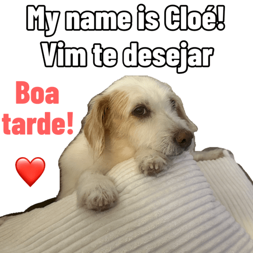 Otavio 97 8