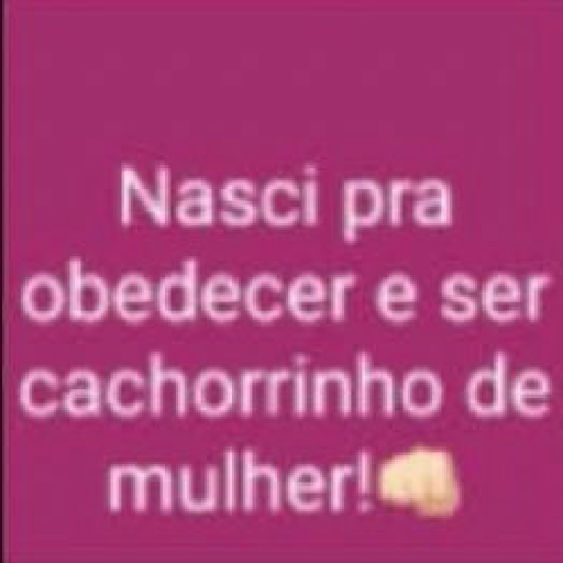 Sou petista 20
