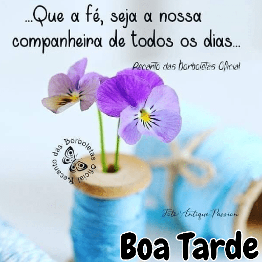 Olá 14