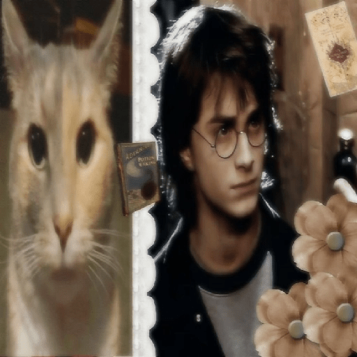 Harry Potter  7