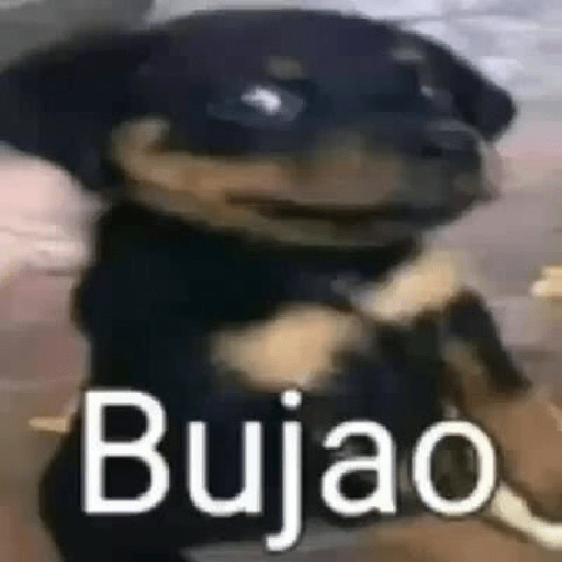 Sou petista 17