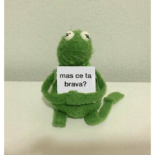 Kermit o Sapo 24