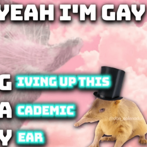 Cats 🐱 1