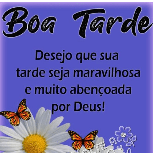 Olá 23