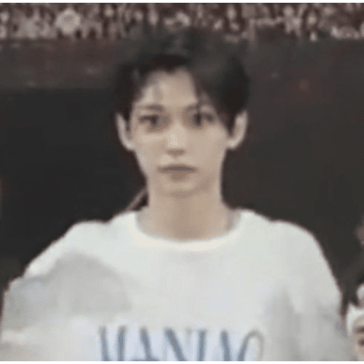 Stray kids 1 :3 30