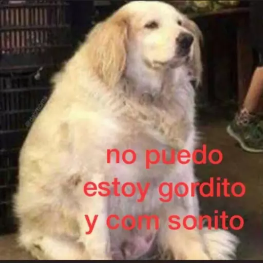 ANIMAIS 22
